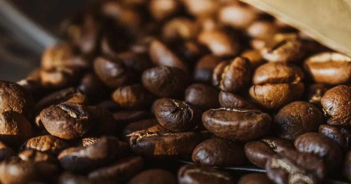 Café : arabica, robusta, origines — tout comprendre en 10 minutes